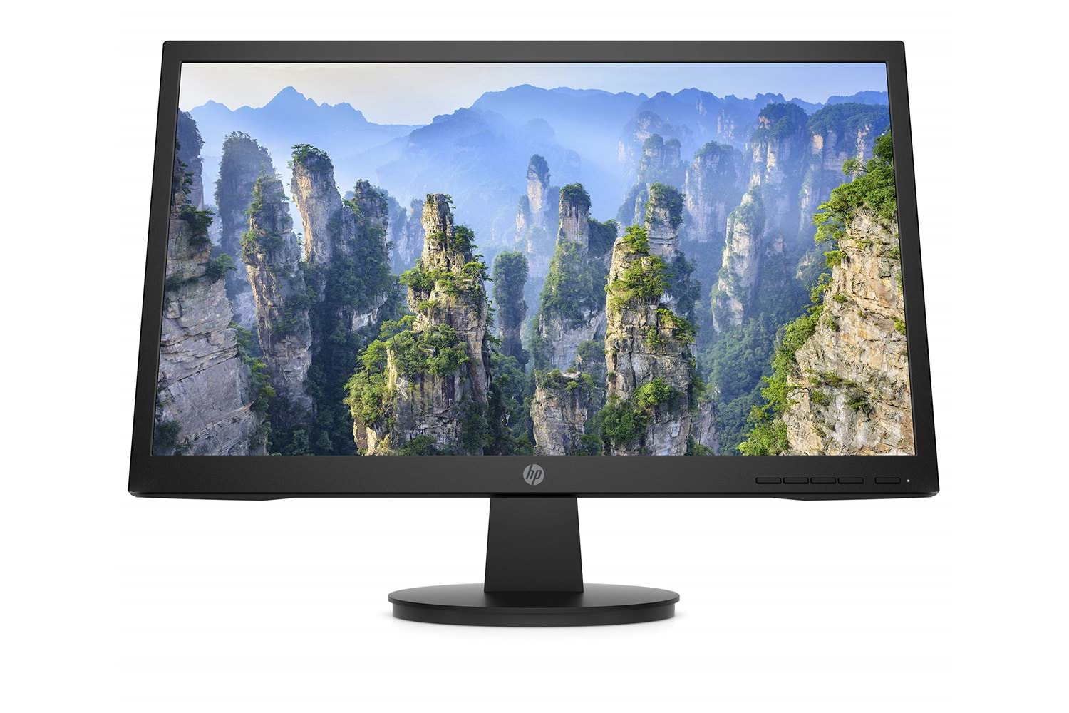 HP Monitor V22