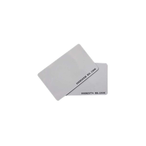Kartelë PVC RFID UHF me numër serial të koduar - ACM-UHF-I -Encode (AR012)