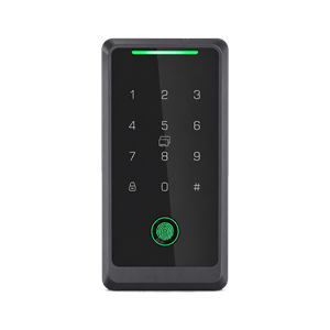 Kontroller qasjeje i jashtëm me tastierë, gjurmë gishti dhe lexues kartelash ID/IC - ACM-219-ID+IC Read Dual Cards Outdoor (AR045)