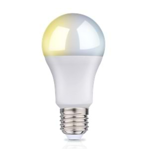 E27 Wifi Bulb