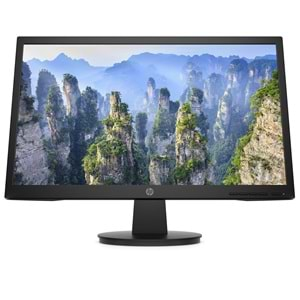 HP Monitor V22