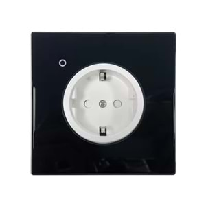 Wifi EU smart wall socket