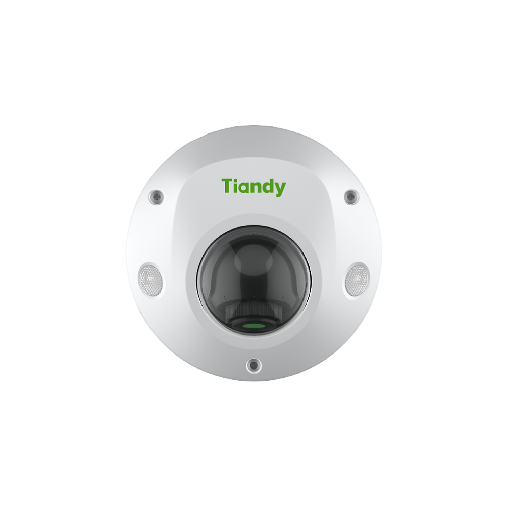 2MP Mini Dome Camera