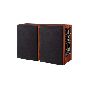 Altoparlant IP PoE me Amplifikator 30W | DI-9723P