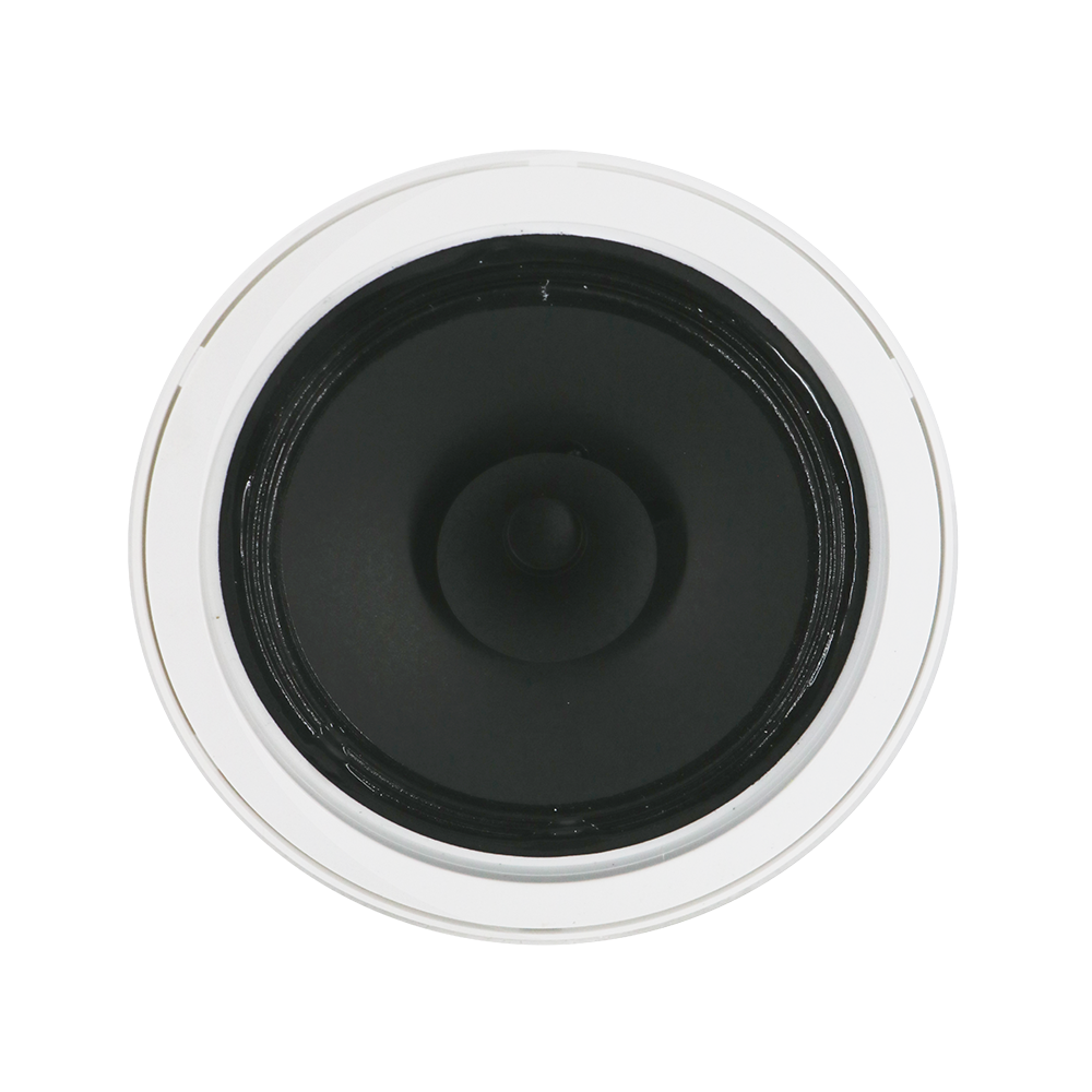 Altoparlant Tavani 6.5″ pa Kornizë me Kuti ABS 6-3W 100V | TM-66HC