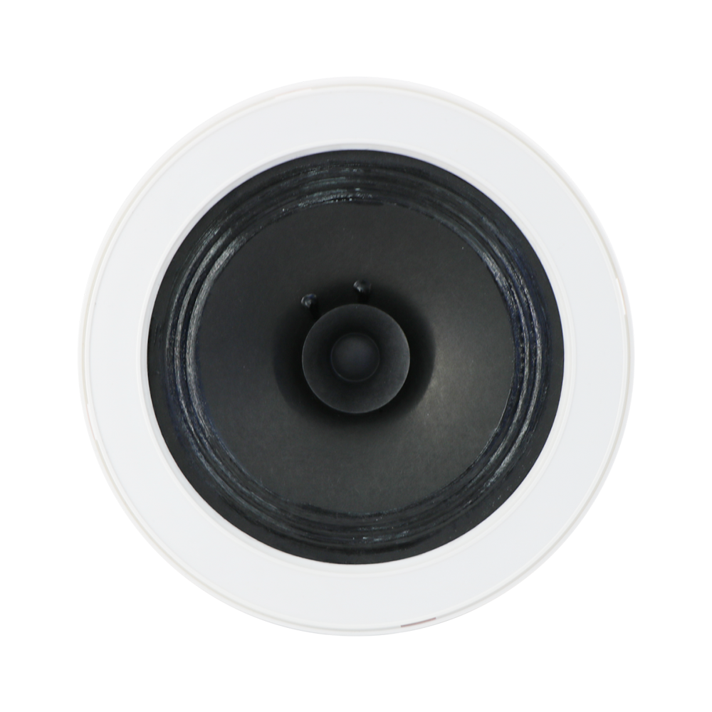 Altoparlant Tavani 6.5″ me Kuti Mbrapa 6-3W 100V | TM-66PC